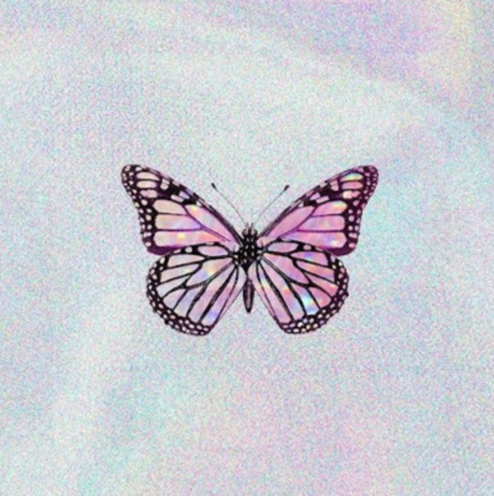 Meet your Posher, Aignér